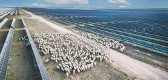 Lightsource bp: Ηγετική θέση στις παγκόσμιες αγορές πράσινης ενέργειας