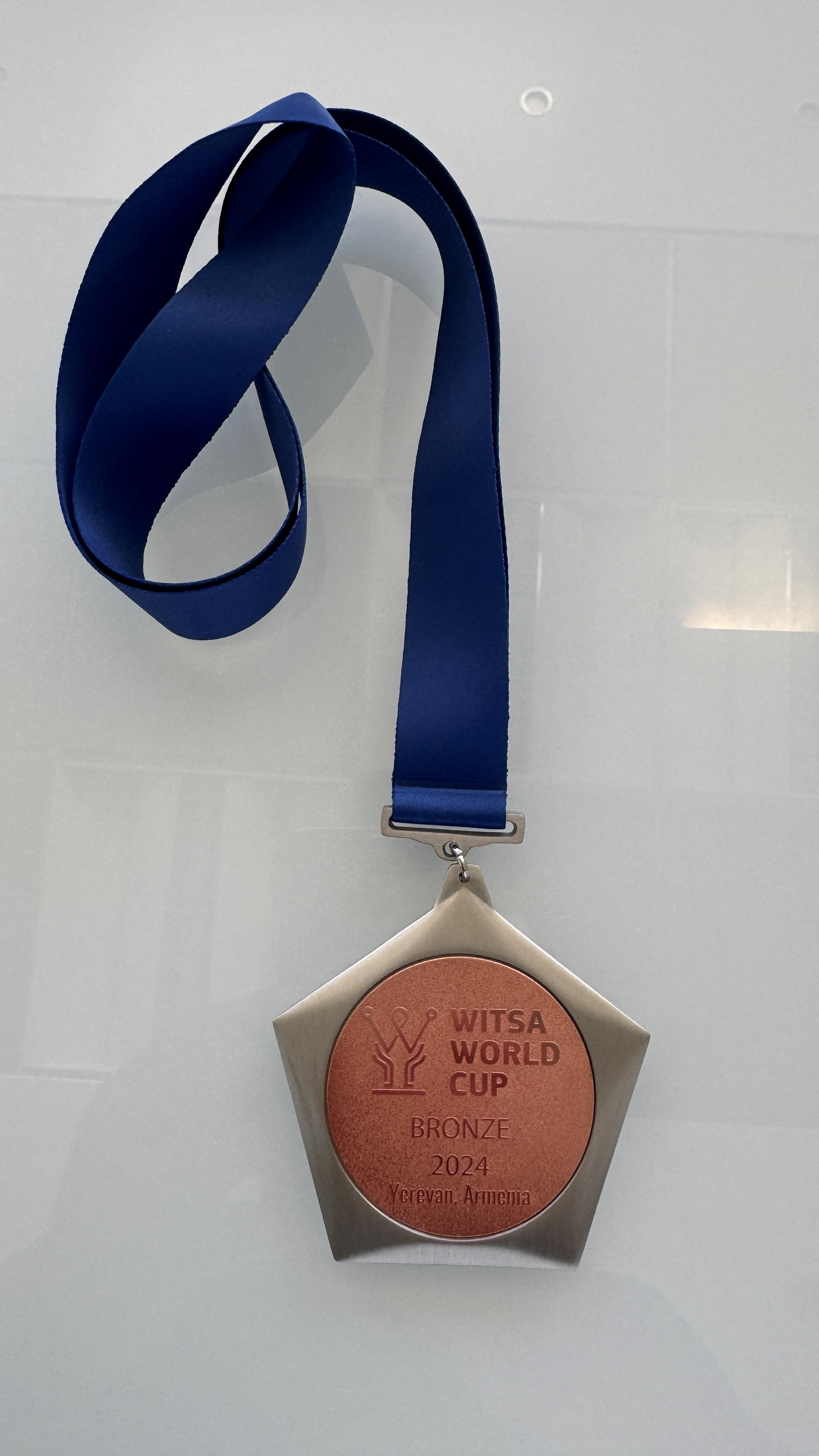 bronze-award-nvisionist