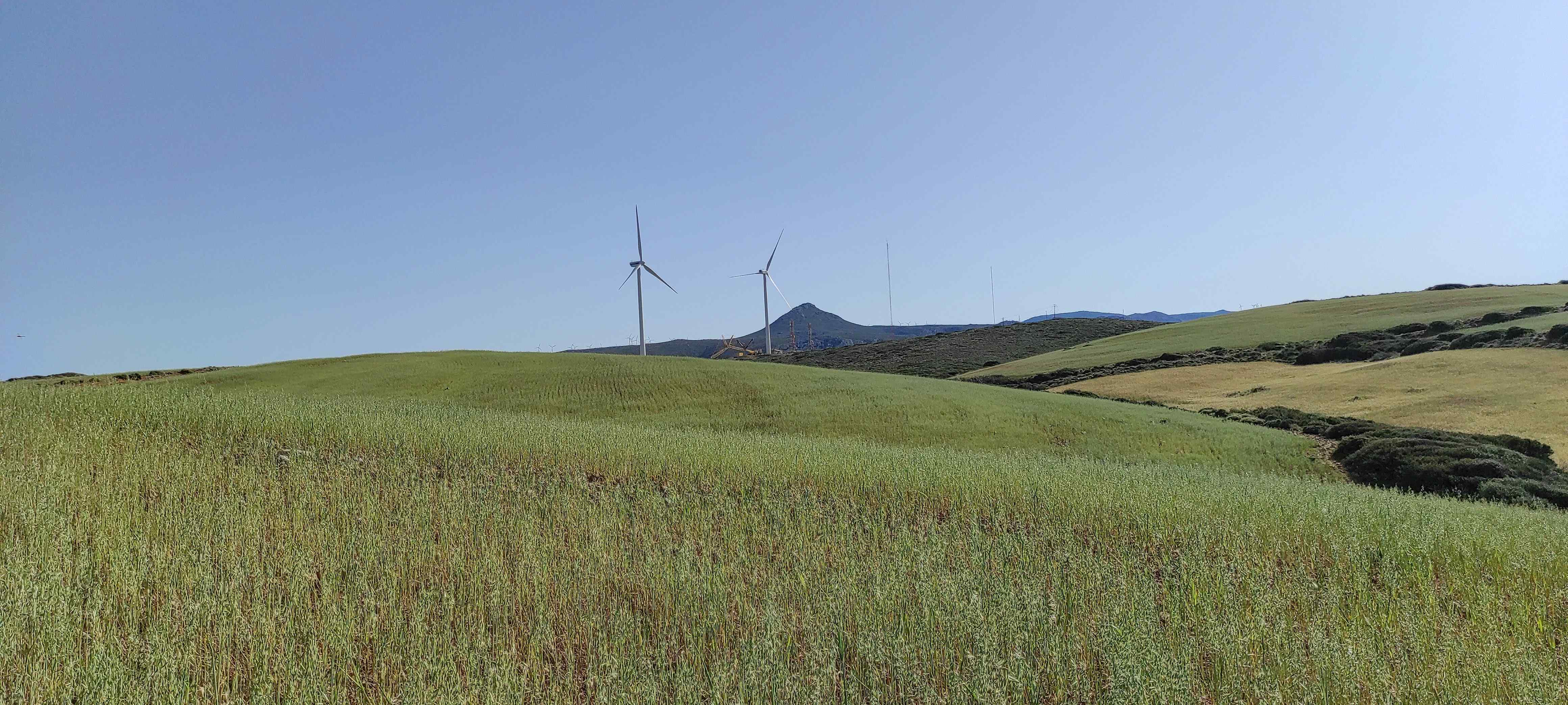 new_wind_toplou