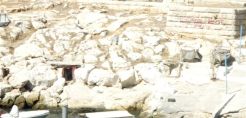 ΣτΠ: Περιβαλλοντικές επιπτώσεις από την κακοδιοίκηση στην παράκτια ζώνη