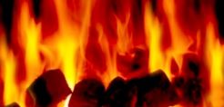 Αναπτυξιακό "μπουμ" στη βιομάζα, με νέες βιομηχανίες λεβήτων και pellets