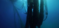 H BlueCycle υποψήφια για το Earthshot Prize 2022 - Στήριξη από σημαντικούς φορείς
