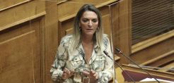 Πέρκα: Προβλήματα, καθυστερήσεις και αδιέξοδο στο έργο φυσικού αερίου στη Φλώρινα