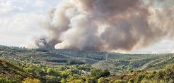 Αστεροσκοπείο Αθηνών: Στάχτη 12.600 στρέμματα στην Ανατολική Αττική
