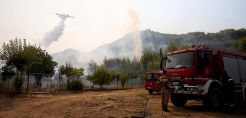 Κάρβουνο το 16% των δασών της Αττικής στις πρόσφατες πυρκαγιές