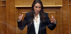 Μιχαηλίδου: Εξασφαλίζουμε εργασιακή ασφάλεια των υπαλλήλων της ΛΑΡΚΟ