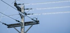 RTE: Πρόβλημα με την επάρκεια τον Ιανουάριο και Φεβρουάριο αν πιάσει βαρύ κρύο στη Γαλλία
