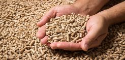 Wood pellet: Οικονομική και φιλοπεριβαλλοντική λύση στη θέρμανση