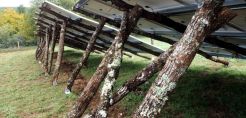 Φωτοβολταϊκό με δρΰινες βάσεις κατασκευάζεται στη Γαλλία