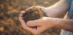 Η Bayer ξεκινά δράση για τη δέσμευση άνθρακα δίνοντας μια νέα ευκαιρία στους παραγωγούς