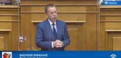 Κόκκαλης: «Τα κίνητρα για πράσινη ενέργεια θα αναχαιτίσουν τις αυξήσεις στο αγροτικό ρεύμα»