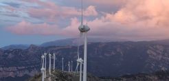 Χ. Φλουδόπουλος: Νέα δεδομένα για τους λιγνίτες της ΔΕΗ