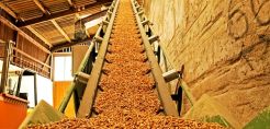 ΚΑΠΕ: Τεχνική συνάντηση για τη χρήση στερεής βιομάζας στην παραγωγή θερμότητας