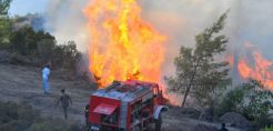 Ενημέρωση ΔΕΔΔΗΕ για τα προβλήματα στο δίκτυο διανομής σε όλη την Ελλάδα - Ποιές περιοχές είναι χωρίς ρεύμα