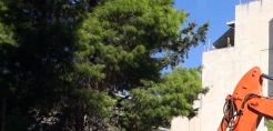 Με φωτοβολταϊκά πλαίσια της Solar Cells πάρκο 1MW στη Βοιωτία 
