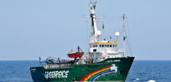 Greenpeace: 50 χρόνια στην πρώτη γραμμή