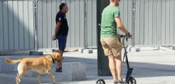 Διεθνείς εταιρείες δηλώνουν ενδιαφέρον να εξοπλίσουν τη Σόφια με περισσότερα ηλεκτρικά πατίνια