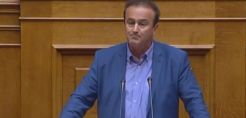 Αντωνιάδης: Άλλη η έννοια της «από-επένδυσης» και άλλη η έννοια της πώλησης