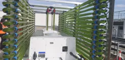 [node:title]