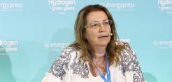 Καρακίτσου (ΔΕΠΑ): Το αργότερο μέσα στο 2025 θα διαθέτουμε bio-CNG από τα πρατήρια Fisikon