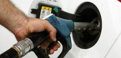 Πρ. Χατζηνικολάου: Λιγότεροι έλεγχοι, περισσότερο λαθρεμπόριο