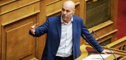 Ελληνική ξυλεία για τους στύλους της ΔΕΗ ζητά ο Αμυράς