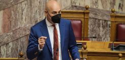 Αμυράς: Μέσα στις επόμενες ημέρες θα καθαριστούν 40.000 στρέμματα κρίσιμων δασικών οικοσυστημάτων