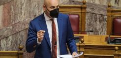 Γ.Αμυράς: Δε θα επιτραπεί το κυνήγι ελαφιών στη Ρόδο