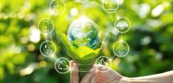Polygreen: Νέα είσοδος στην αγορά της κυκλικής οικονομίας