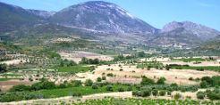 Ο Σ.Ε.Α. για τη χωροθέτηση ανεμογεννητριών περιμετρικά της Κοιλάδας των Μουσών