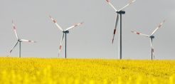 Παγκόσμια Τράπεζα: Η κλιματική αλλαγή θα επηρεάσει την παραγωγή