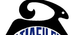 Επίλεκτος: Αγορά 909 κοινών ονομαστικών μετοχών
