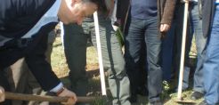 Αναδάσωση στο Δάσος Καϊάφα με 3.000 δενδρύλλια 