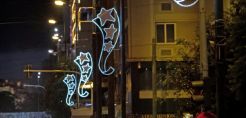 Η ΔΕΗ στολίζει για πρώτη φορά τη Χαλκοκονδύλη και την 3η Σεπτεμβρίου