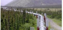 Shah Deniz: Ίσες πιθανότητες Nabucco και TAP για το Νότιο Διάδρομο
