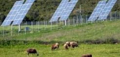 Η ΑΑΔΕ διευκρινίζει εκ νέου τι ισχύει για τα αγροτικά φωτοβολταϊκά και το υποκατάστημα 