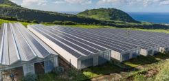 Akuo Energy: Επενδύσεις άνω του ενός δισ. ευρώ στη Θεσσαλία για εκατοντάδες μεγαβάτ αγρο-φωτοβολταϊκών