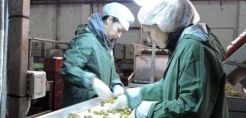 Ενεργειακή απόδοση και καινοτομία σε ένα συνεργατικό event μεταξύ βιομηχανίας και ερευνητών