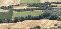 Το τελικό σχέδιο φορολόγησης των αγροτεμαχίων