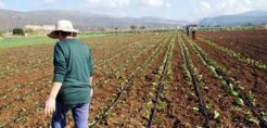 Η αποθήκευση άνθρακα, νέα πρόκληση για την παγκόσμια γεωργία