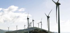 Φίλης Καϊτατζής: Πόλεμος με οικολόγους για τα αιολικά πάρκα 