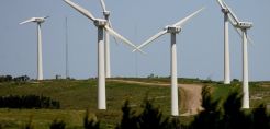 Η χρονιά των ρεκόρ των αιολικών και οι φουσκωμένες προσδοκίες
