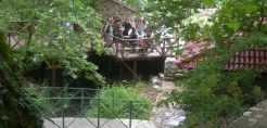 Δ. Τσουκαλάς: Τα οφέλη που προσδίδουν στους ΟΤΑ οι ΑΠΕ