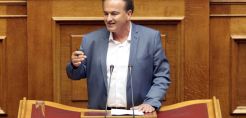 Αντωνιάδης: Να εκδοθεί το ΦΕΚ για την αποδέσμευση από τη ΔΕΗ 12000 στρ. στη Λεβαία