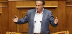 Γ. Αντωνιάδης: Εάν πτωχεύσει η ΔΕΗ ποιος θα αναλάβει το κόστος των περιβαλλοντικών επιπτώσεων