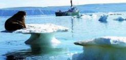 Αυξάνει την στρατιωτική της παρουσία στην Αρκτική η Ρωσία