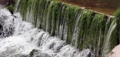 Στη Βουλή για την απορρύπανση και την ανάπτυξη του Ασωπού ο Κ. Μπακογιάννης