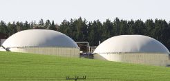 [node:title]