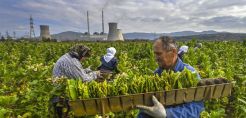 «Τυφλό σημείο» για την ΕΕ οι σταθμοί ηλεκτροπαραγωγής με άνθρακα στα Δυτικά Βαλκάνια