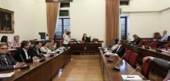 Δεκτή από τη Βουλή η νέα ηγεσία της ΡΑΕ